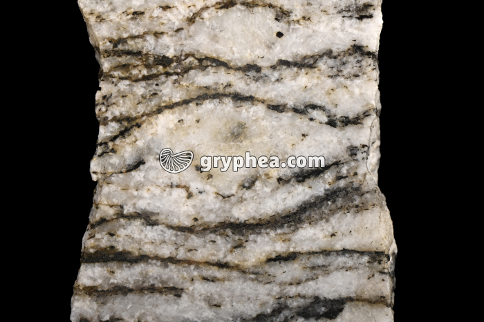 Gneiss oeillé - détail - gryphea.com